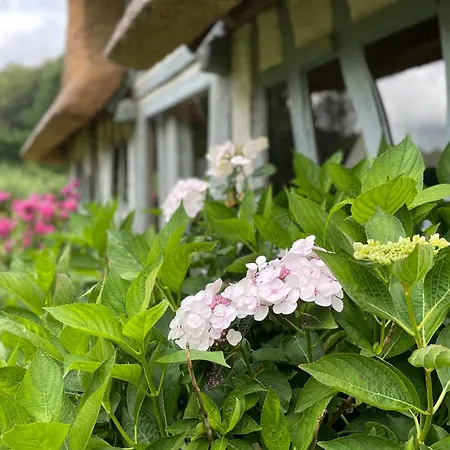 Le Manoir Du Perroy *